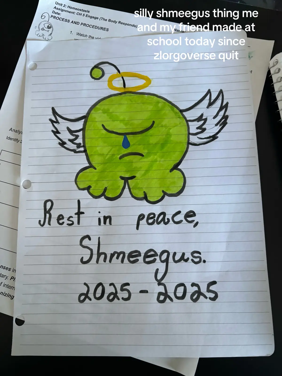 #zlorgoverse #shmeegus #sad #silly #fyp 