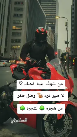 #السامرلي_🦅 