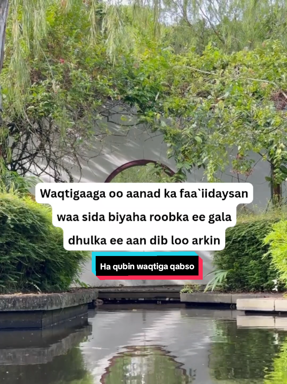 #foryoupage❤️❤️ #somalilandtiktok💚🤍❤ #frypgシ #somalitiktok #kenyantiktok🇰🇪 @jigjiga girl @HaLdoorKa @jigjiga lij 🥀🇬🇲 @Abwaan~Maynis @Abwaan-Germany @Abwaan Xigmawi @abwaan xiige ♥️🥰✍️🩸💔😰🙋🤦 @abwaan geesh @Abwaan  bulshaawi @abwaanad jacaylka💋💋💋💋💋💋 @heart broke@🫡CIIL TIRE 🫡  @abwaan@Abwaan dhiblaawe @abwaan xasaasi @Abwaan Bile 📚✍️❤️‍🔥 @@abwaan @abwaan gacal manso✍️📚 @Abwaanad peerka🥰🌹 @Abwaan xayir cali Rooble @abwaan