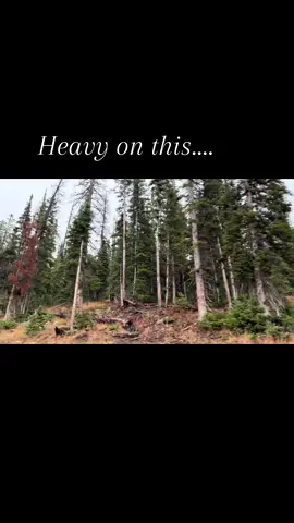 #fyp #truth #bekind #faith #utah ❤️‍🩹❤️‍🩹❤️‍🩹❤️‍🩹❤️‍🩹❤️‍🩹❤️‍🩹❤️‍🩹❤️‍🩹❤️‍🩹❤️‍🩹❤️‍🩹