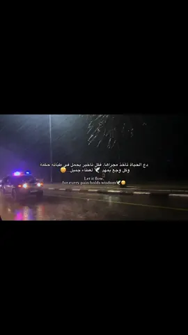 دعها تمضي، فكل ألمٍ يحمل في طيّاته حكمة 🕊️🤩#اقتباسات #vrial #عباره #foruou #اكسبلورexplore 
