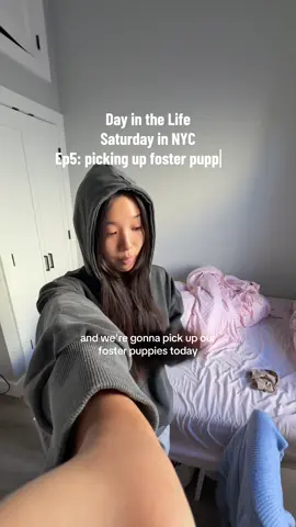Ep 5: Foster Puppies have Arrived. Day in the life in NYC a little special saturday. 