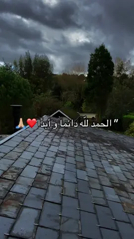 يمكن ما انت فيه الآن هو خير الله لك#الشيخ_خالد_الرياعي #حسن_الظن_بالله #لا_إله_إلا_الله_محمد_رسول_الله #إعادة_النشر🔄 #المصمم_هيثم☝🏻 @القرآن الكريم 