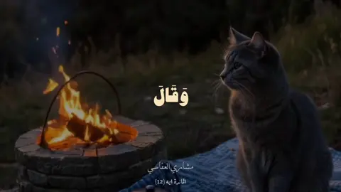 ~ صـليـ عـلي الـنبي .🤍 ٖ . ٖ #استغفروا_ربكم_انه_كان_غفارا #اكتب_شئ_توجر_عليه #استوريهات_واتساب #اكسبلورexplore #flpシ 