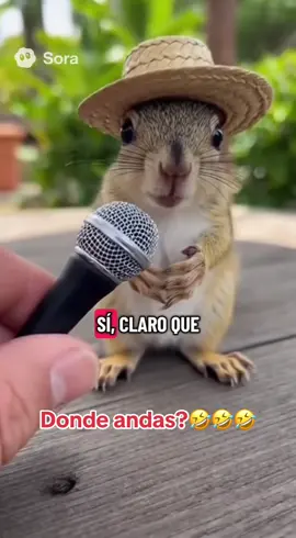 SE LE QUIERE AUNQUE YA NO LO DEJEN SALIR 🤣🤣 #viral #humor #funny #ia #comedia