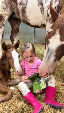 Mayzee finally got to read her “Little Foal Book” to baby boy #viral #horsetok #fyp #horse #foal 
