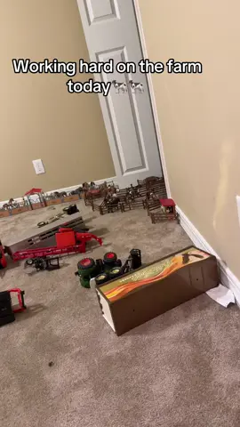 These boys have a fortune in farm toys! #farmlife #boys #fyp #fypシ 