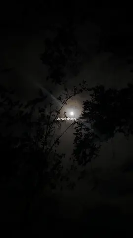 Skyfall #adele #skyfall #slowed 