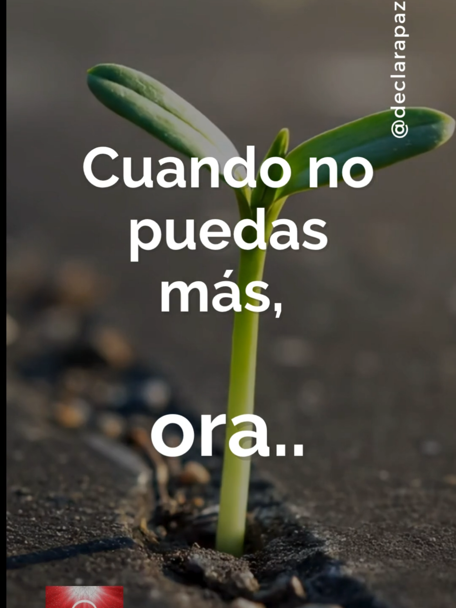 Ora y no te angusties, deposita en el señor tu carga, ten fe! No pares de orar. “Claman los justos, y el Señor los oye; los libra de todas sus angustias.” Salmo 34:17 #oracion #cristo #espiritusanto #amordedios #cristianos #dios #gratitude #fe #Pazinterior #declarapaz #esperanza #testimonio