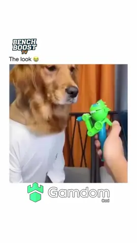 The look 😂😂👀
