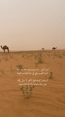 البل البل .. عز صيت وعز جاه وعز لابـه . .                   #صالح_ال_مانعه #تصويري 