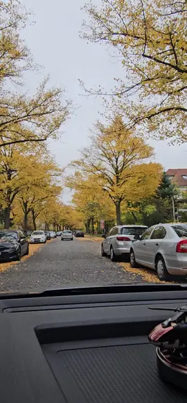 #berlin #سوريا #برلين #german #syria 