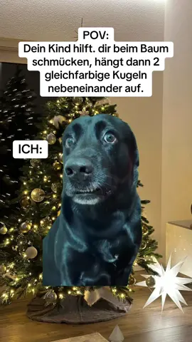 #lustigevideos #merrychristmas #tannenbaum #dog #kinder 