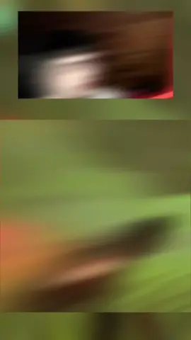 Oni enojado me persigue y no aguanta el show #dbd #deadbydaylight #deadbydaylightmoments #dbdmoments #dbdclips #dbdtiktok #dbdvideos #dbdsurvivor 