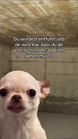 Markiere wer das sein kann #Meme #MemeCut 