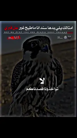 |#عبارات  #ديراوي_♕🖤  #تـصميم_ديراوي🗞🖤 