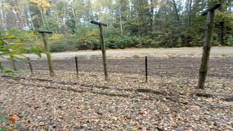 #المانيا🇩🇪 #بلجيكا🇧🇪 #هولندا🇳🇱 #بلجيكا🇧🇪_بروكسيل_المانيا_فرنسا_هولندا #المانيا_السويد_النمسا_النروج_دينيمارك 