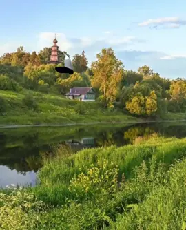 #рек #рекомендации #доброеутро #гусь #летит 