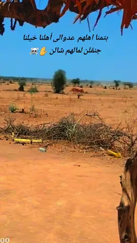 مندون موسيقى 