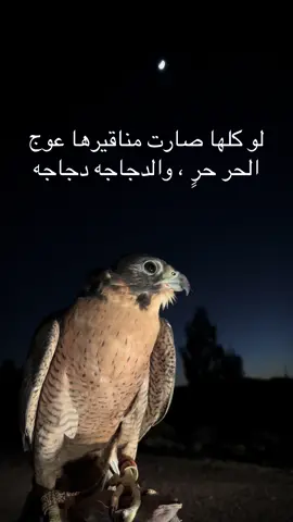 #فلسطين_أحساس_شاعر_لايك_فضلآ_وليس_أمرآ 