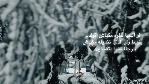 #سميه_درويش #victoriassecretfashionshow #vsfashionshow2025 #foryoupage #CapCut 