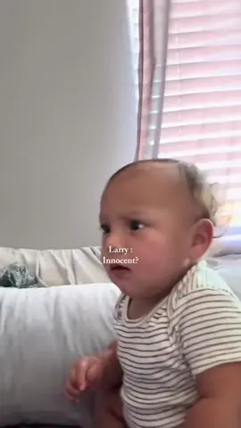 He’s innocent… until Larry enters the chat😂🎀🌸 @Zaza #fyp #zaza #babylove #babyvideos #babiesoftiktok @Sachi 🌸 @Laro Benz 