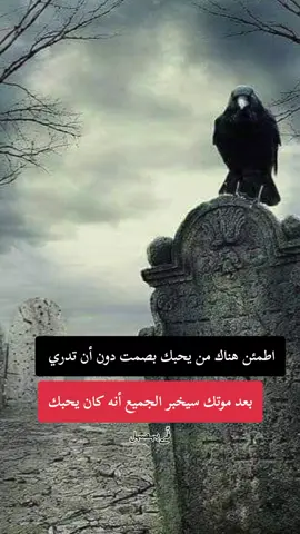 اطمئن هناك من يحبك بصمت دون أن تدري بعد موتك سيخبر الجميع أنه كان يحبك #حكمة_اليوم #كبرياء_رجل #الجزائر_تونس_المغرب 