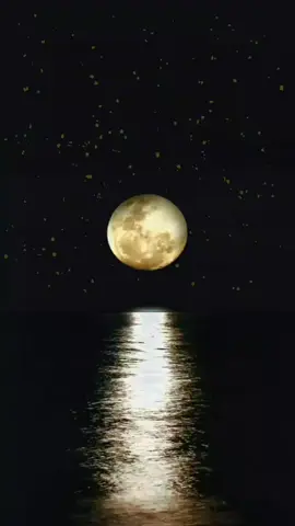 #festival motivation🙂