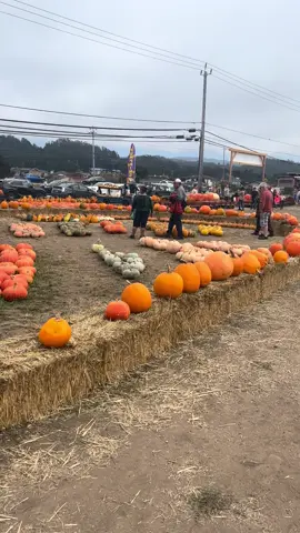 Octubre 🍂 #🎃 #fyp 