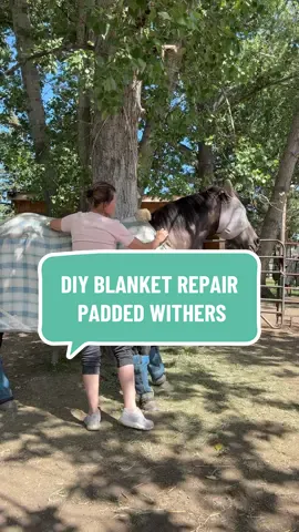 Rowdy gets a blanket upgrade. DIY wither padding 💪 Easy homemade fix for a happy horse. 