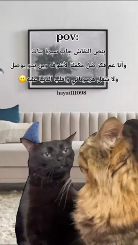 #Meme #MemeCut #CapCut #fypシ゚viral🖤tiktok #😂😂😂 