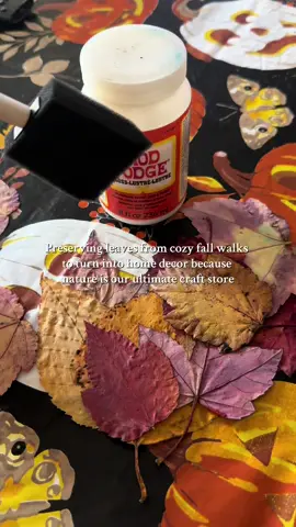 What should I make out of these?! 🍂🍁 I was thinking maybe hanging leaves from our balcony or a garland of fall leaves!! 😍😍 #nature #fallaesthetic #falldecor #diydecor #fallcrafts 