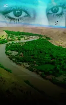 #اكسبلور_axblorefypシ゚viralシا #الغيل #بن يمين #الوادي #جرب 