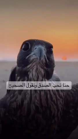 المشكله في الناس تفهمنا غلط🤷‍♂️#الناس #مشكله #غلط #كلام_من_ذهب #قروب_اهل_الفن_خليها_وعليها_rm🇦🇪💌 