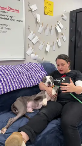 Me and Colson, Watching @Isabel Klee get her next foster with @Muddy Paws Rescue!!! Colson was rescued Thursday, spent the night at the hospital and got to our shelter Friday! Day 4 of Refeeding. Wishing Whimsy all the happy healing from me and Colson ❤️.      #animalcharityofohio #helpushelpthem #speakupspeakloud #ohio 