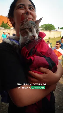 ¿Ya te sumaste a la campaña de castración? 🐾🐶 ☑️ Cada vez más vecinos se suman a las campañas gratuitas que realizamos en los barrios. 🔜 Son jornadas itinerantes para que los vecinos puedan acceder cerca de sus casas. -Próxima fecha de castración: 📅 Miércoles 22 de octubre de 8 a 13 hs 📍 Club La Nueva Unión Chenga FC, Benjamín Villafañe 843 e/ Fraga y Tellier, Barrio San Eduardo. ▶ Los turnos se entregan el Martes 21 de octubre de 10 a 12 hs  en el mismo lugar. Se entregan 100 turnos. 🔸 Conocé las fechas de castración y vacunación antirrábica en: https://www.merlo.gob.ar/castracionesmerlo/ ¡Vení, te esperamos! #MerloGob  @Gustavo Menendez 