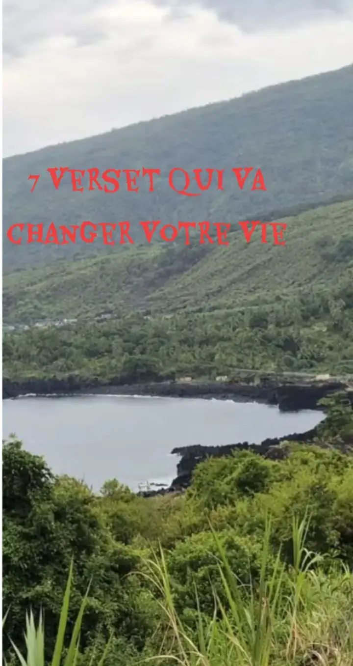 le coran est notre seul remède # Allah nous suffit #viral 