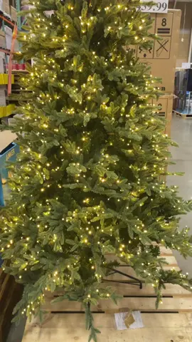 Come shopping with us at Costco!🛒 #costco #costcofinds #costcodatenight #costcohaul #itseliromero 