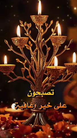 #حالات #ستوريات #تصبحون_على_ماتتمنون #تصبحون_علي_خير #تصبحون_على_ماتتمنون_وراحه_البال🤍🕊 