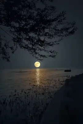 L'un des meilleurs récités par Cheikh Al-Husari, avec un son de très haute qualité  #quran #quran_alkarim 