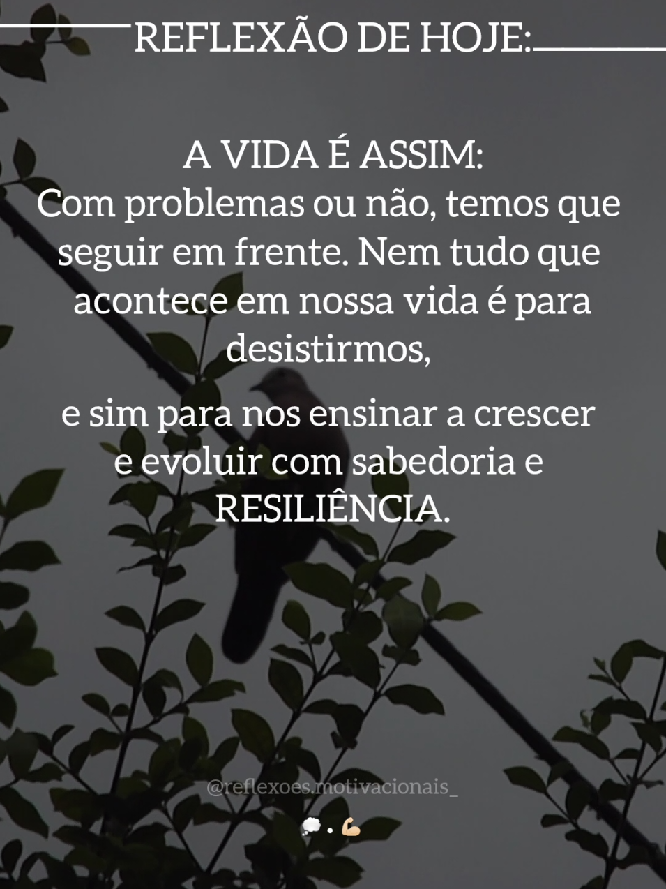 REFLEXÃO DE HOJE... 💭 #creatorsearchinsights #reflexão #reflexaododia #motivacao #frasesmotivadoras 