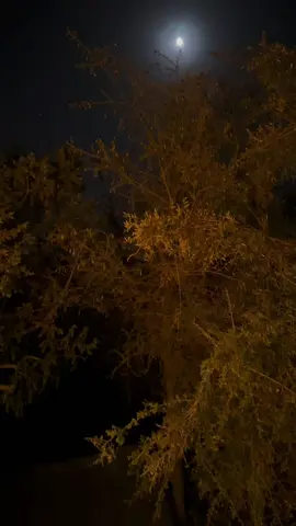 #fyp #xplore #Love #📷 #pppppppppppppppp 