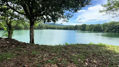 Un mensajito para usted queridos seguidores              💫 Nunca subestimes lo que puedes lograr. Cada paso, por pequeño que parezca, te acerca a algo más grande. No importa cuántas veces caigas, lo importante es seguir avanzando con fe, constancia y pasión. 💪🔥 Cree en ti, trabaja en silencio y deja que los resultados hablen. 🌟 #MotivaciónDiaria #SueñaEnGrande #ActitudPositiva #Macas #MoronaSantiago   