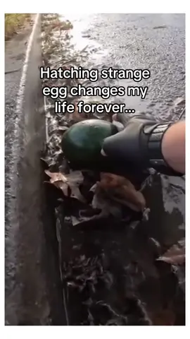 Why am I crying 😭  #wholesome #animals 