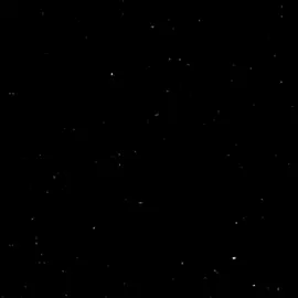 استعيد رجولتك يا كوتي كوتي  .  #ترندات_تيك_توك #كوتي_كوتي #اناشيد #اناشيد_اسلاميه #تصميم_فيديوهات🎶🎤🎬 