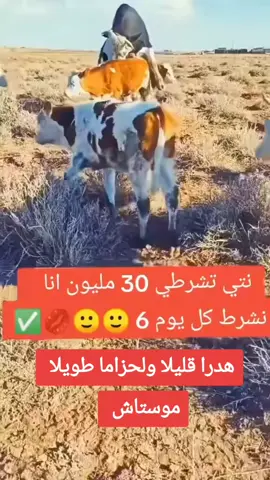 #في هذا اليوم #موستاش🖤🔥 