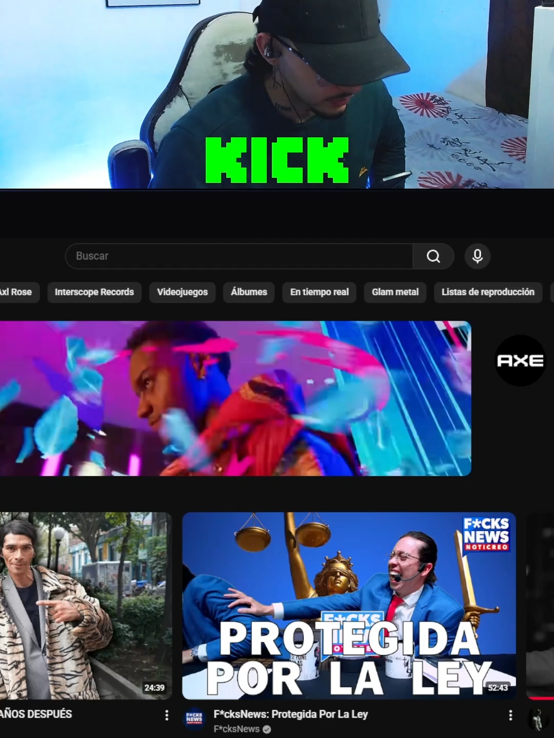 quede gato #kick #pereira