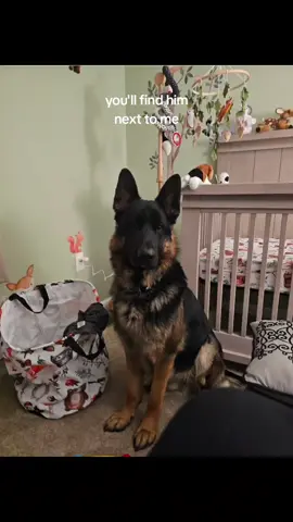 a bit of a vulnerable post...I have been overjoyed with watching Bear bond with my son. I remember when I was pregnant, I was worried about how Bear was going to be with him. as well behaved and wonderful Bear is, dogs can be unpredictable and I know that. I never thought Bear would hurt him, but maybe accidently play rough or knock him over, jump on him etc. but Bear has been gentle and loving since day 1. I truly believe dogs can be in tune with human feelings and emotions. when I came home with my new baby, I struggled a bit with ppd. Bear was right by my side the entire time. he wasnt constantly nudging me, he wasnt all over the baby, he wasnt barking and running around like a crazy boy. he just sat there with me day in and day out and brought me so much comfort. since then,  I have had the pleasure, and am blessed to have watched his bond with my son grow. (partially because my son always has the good snacks, lol jk) they play, they hang out, they are inseparable. I personally was lucky enough to have grown up with dogs and I am so happy to be able to give the same to my son. #puppy #dog #germanshepherd 