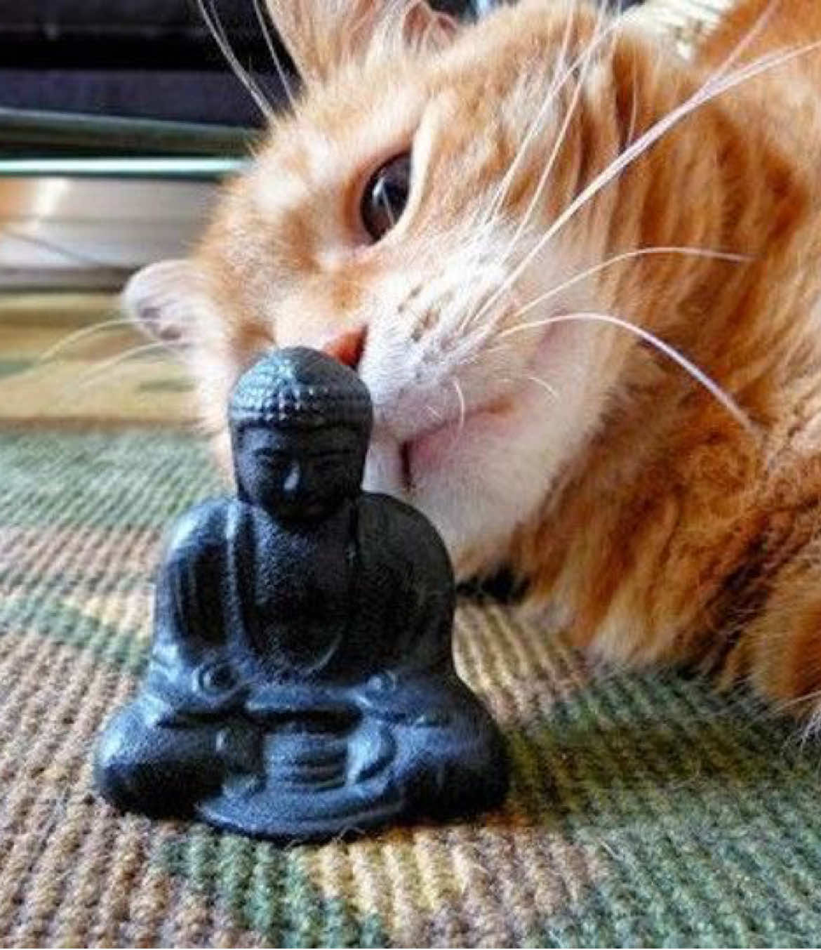 Forgive others. Not because they deserve forgiveness, but because you deserve peace. 𝐁𝐮𝐝𝐝𝐡𝐚🕉️☸️ May love,happiness and peace be with you all my angels 💛🪷 #buddah #buddhismus  Buddha quote  Buddhismus quote Buddhism quote #viral #fyp #fy 