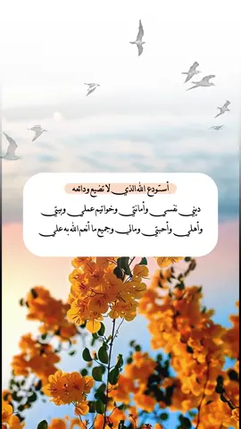 #اللهم استودع الله الذي لا تضيع ودائعه  ديني نفسي وأمانتي وخواتيم عملي وبيتي وأهلي وأحبتي ومالي وجميع ما أنعم الله به علي #foryoupage #funny #fyp 
